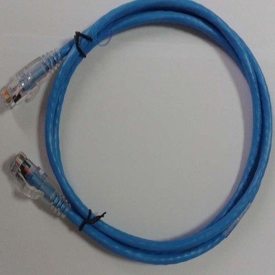 安普（AMP）六类网络跳线 品质与性能的可靠选择